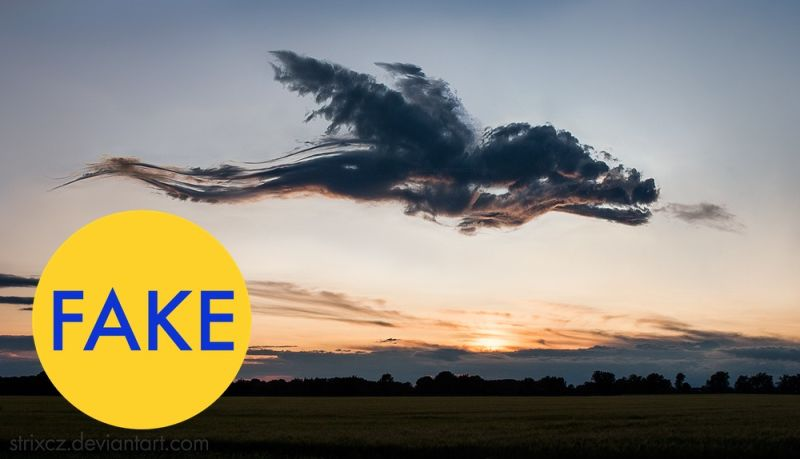Illustration for article titled 76 Viral Images From 2015 That Were Totally Fake